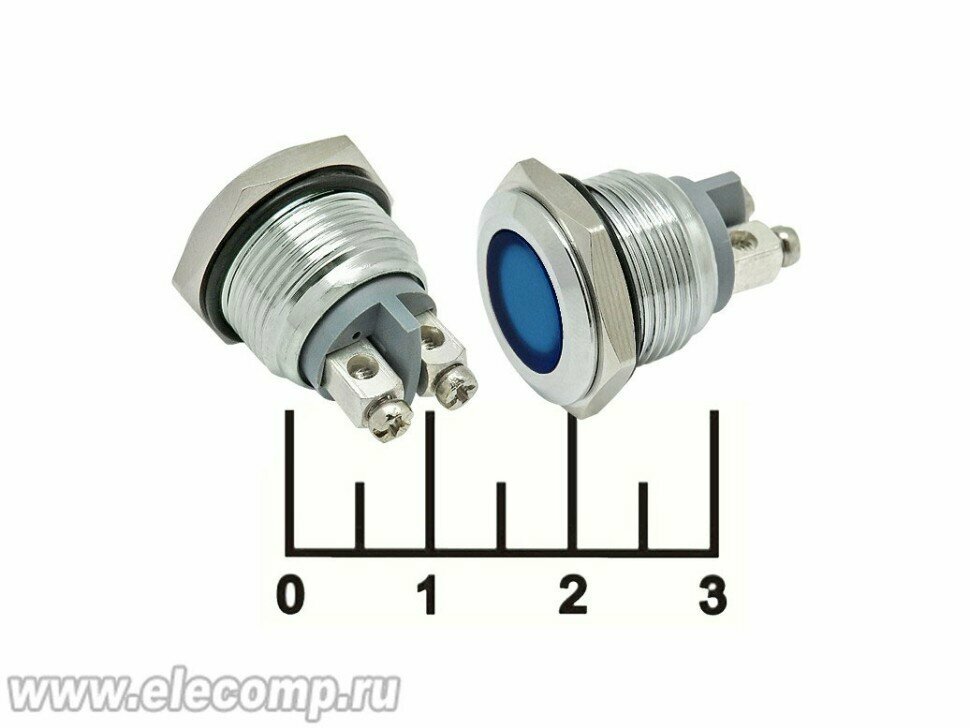 фото Лампа 12-24V LED синяя в металлическом корпусе антивандальная 2 контакта под винт (16мм) GQ16F-B