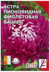 Семена цветов Астра пионовидная "Фиолетовая Башня", 0.2 г