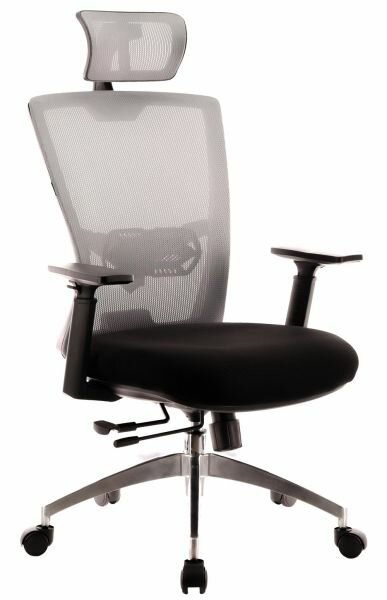 Эргономичное кресло Everprof Polo S обивка сетка/ткань макс. нагрузка 120 кг каркас немонолитный поясничная поддержка серый