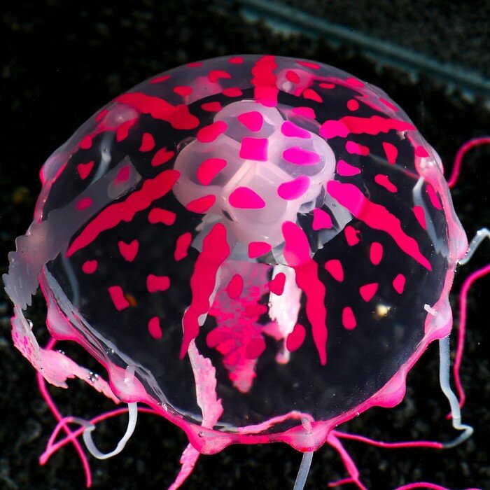 Декор для аквариума "Медуза" силиконовая, с неоновым эффектом, 10 х 10 х 20,5 см, розовая - фотография № 6