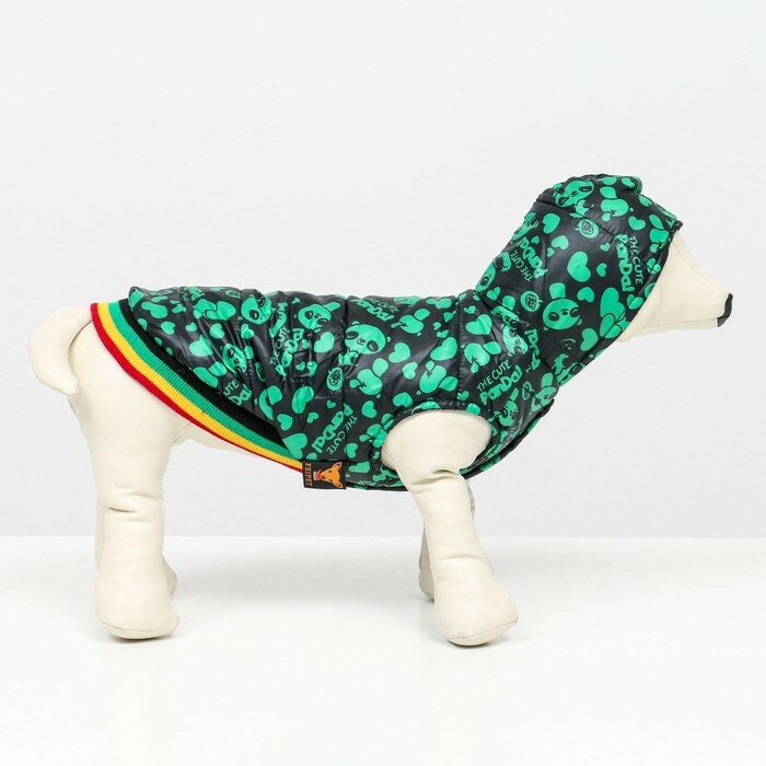 Курточка для собак "Пятнашки", размер 3 (ДС 28,ОШ 30, ОГ 42 см), зелёная - фотография № 2