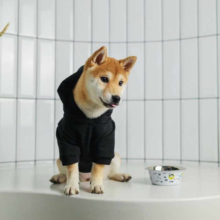 Толстовка Security для собак (футер), размер XS (ДС 18, ОШ 28-30, ОГ 38-40), чёрная - фотография № 5