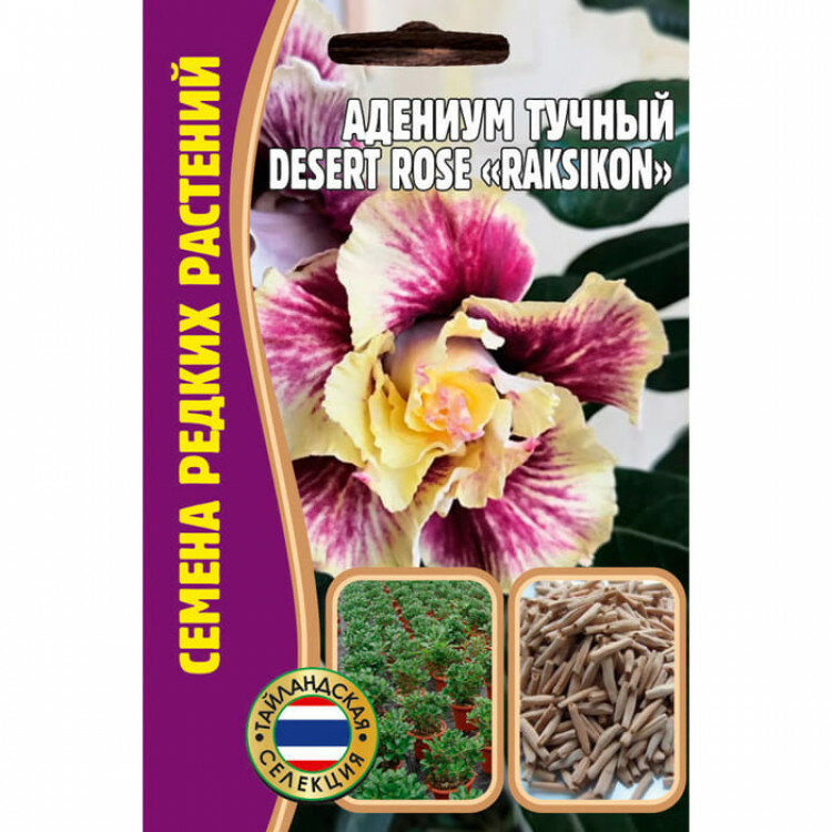 Адениум Тучный Desert Rose Raksikon