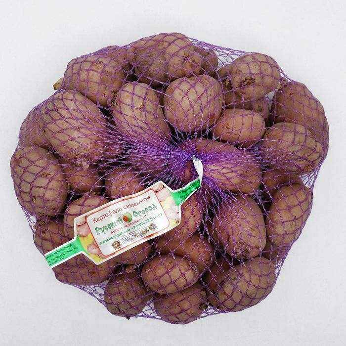 Семенной картофель "Фрителла" 2 кг Супер Элита, р/р 28/55 - фотография № 1