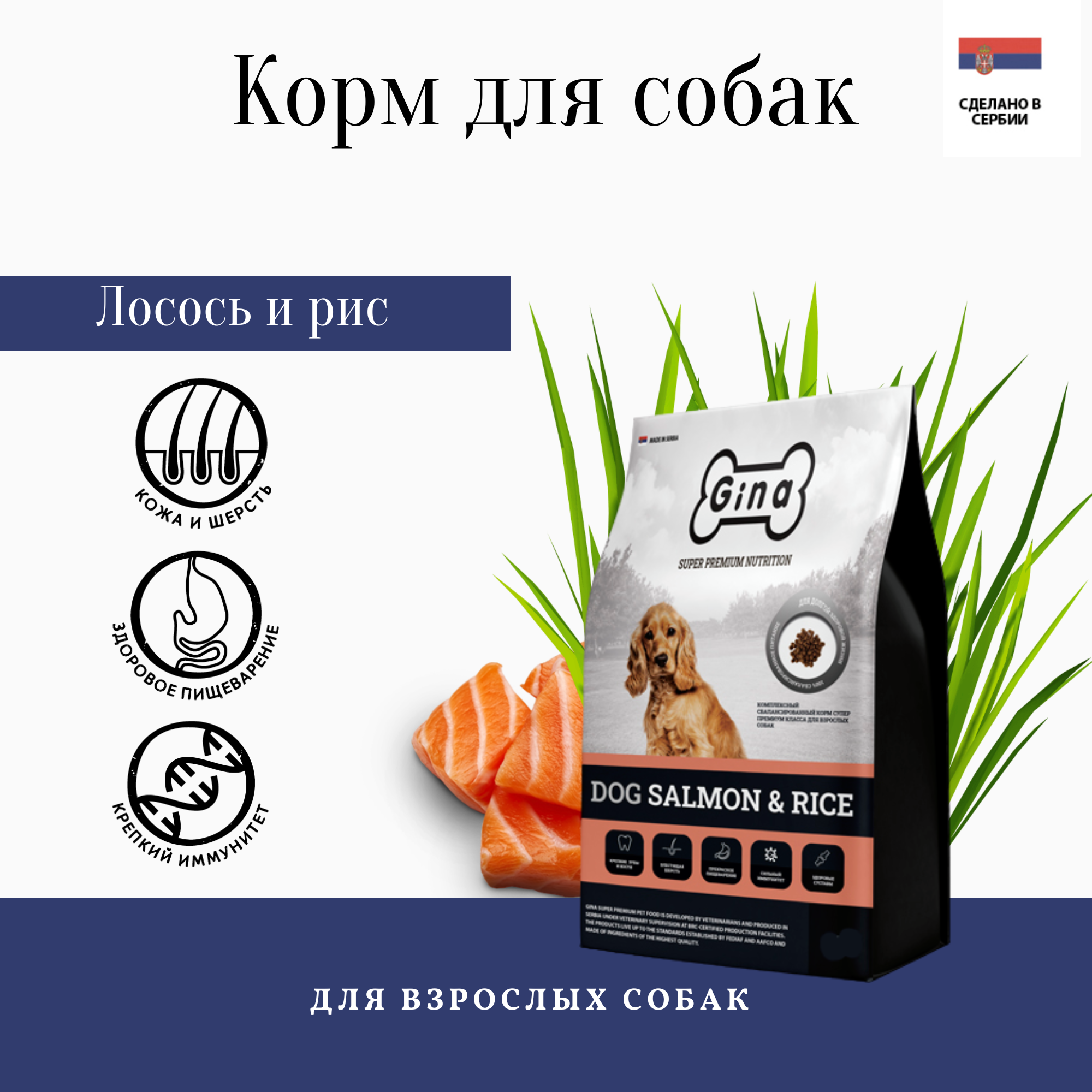 Gina корм для взрослых собак с лососем и рисом (dog salmon and rice Serbia)