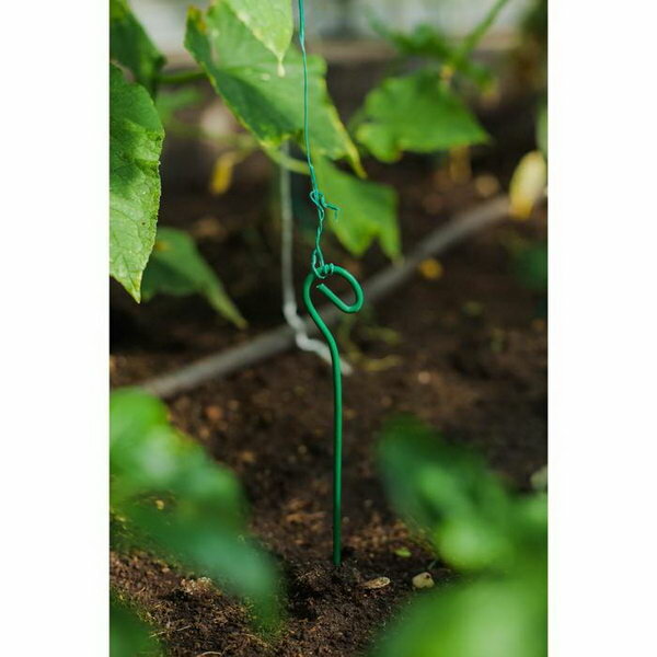 Колышек для подвязки растений, h = 60 см, d = 0.3 см, проволочный, зелёный, 10 шт. - фотография № 2
