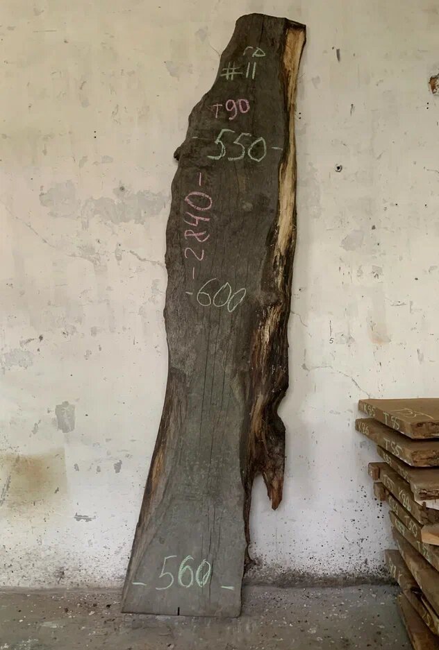 фото Слэб Граб Кавказский 11