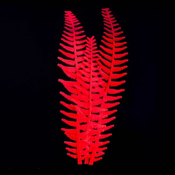 Растение силиконовое аквариумное, светящееся в темноте, 8 x 23 см, розовое - фотография № 2