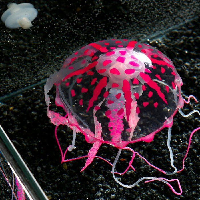 Декор для аквариума "Медуза" силиконовая, с неоновым эффектом, 10 х 10 х 20,5 см, розовая - фотография № 5