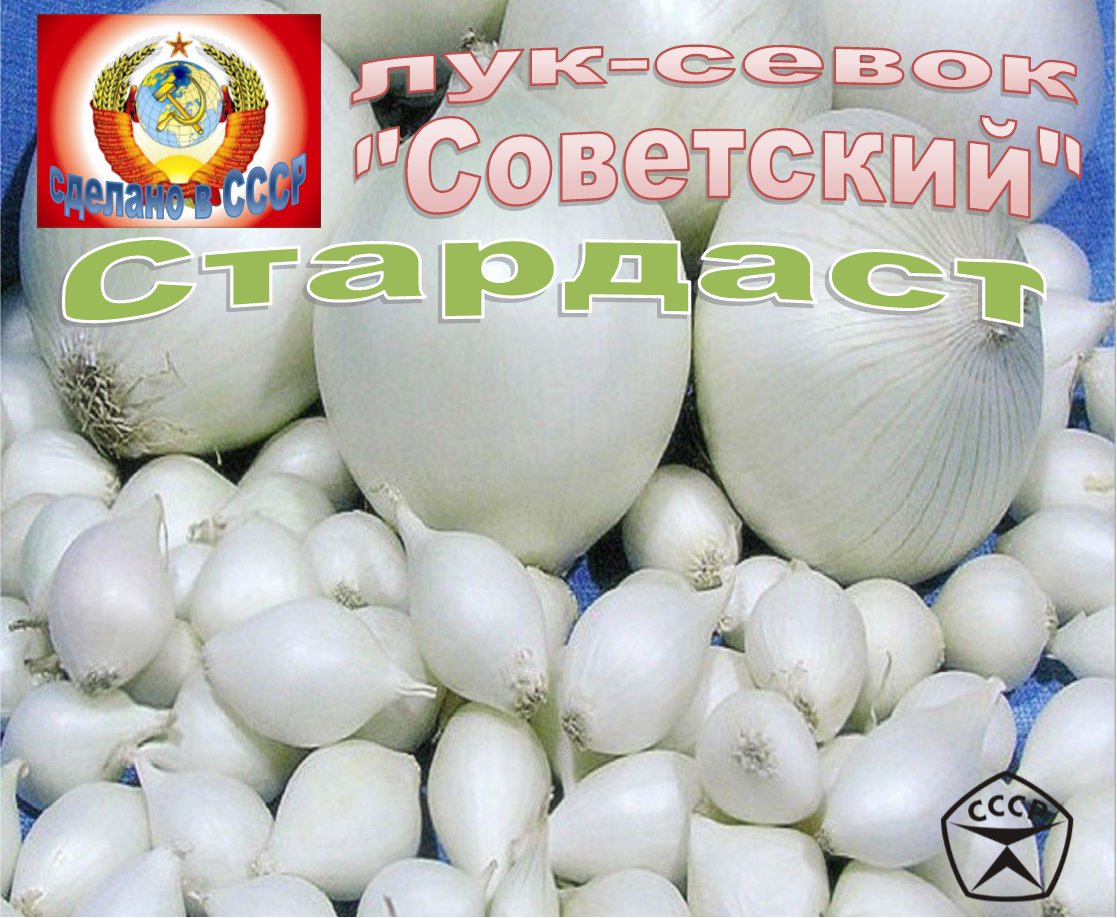 Лук-севок Стардаст (белый) "Советский", 1000 грамм