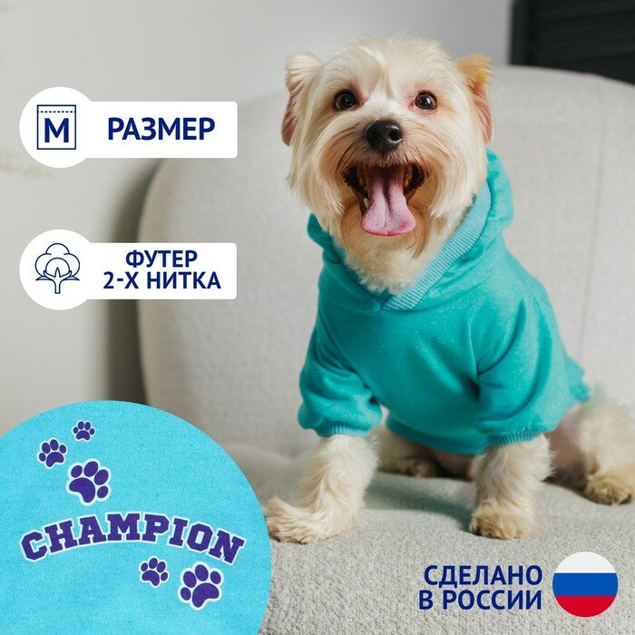 Толстовка Champion для собак (футер), размер M (ДС 26, ОШ 36-38, ОГ 46-50), голубая - фотография № 1
