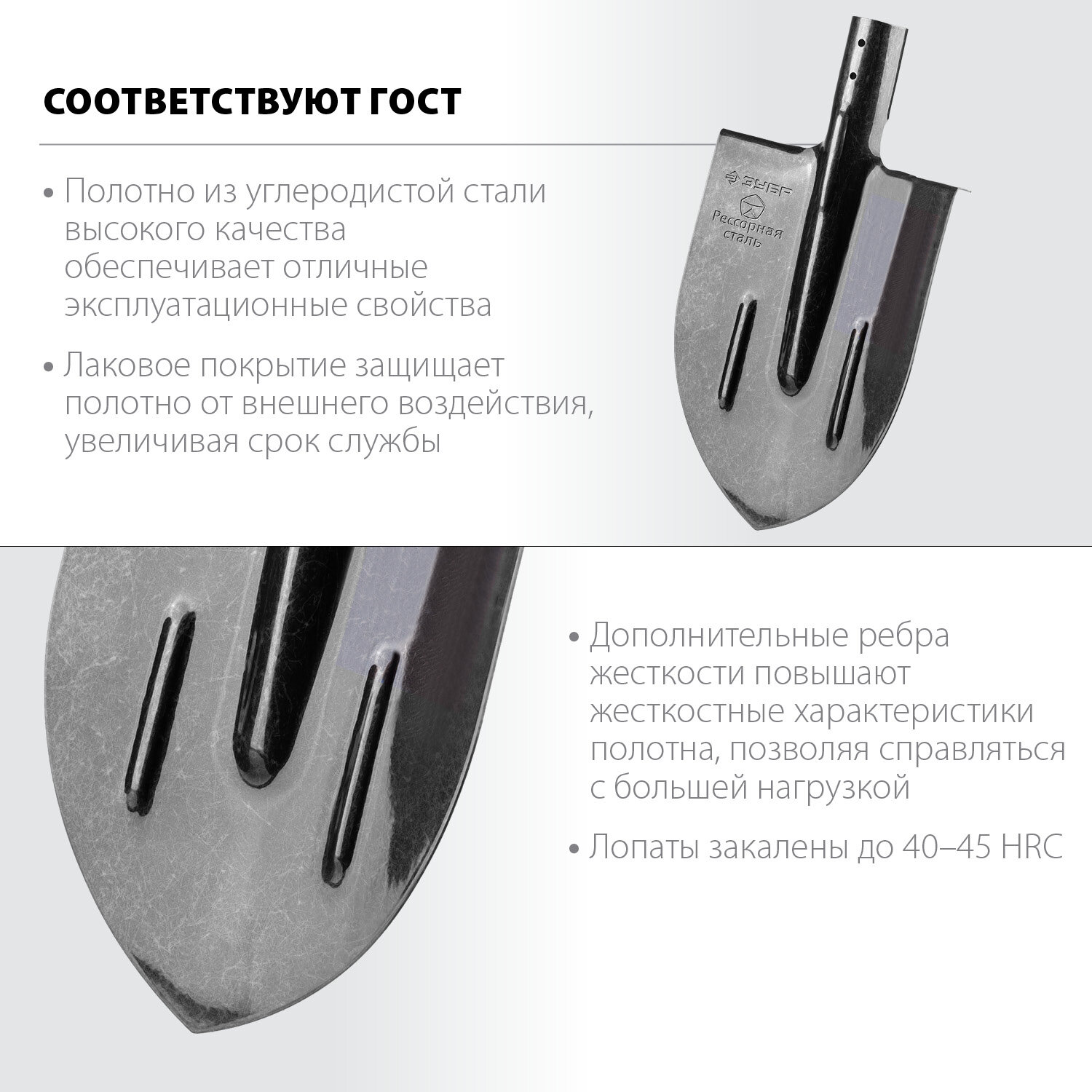 Штыковая лопата c ребрами жесткости ЗУБР ПРОФИ-5, ЛКО, без черенка - фотография № 1