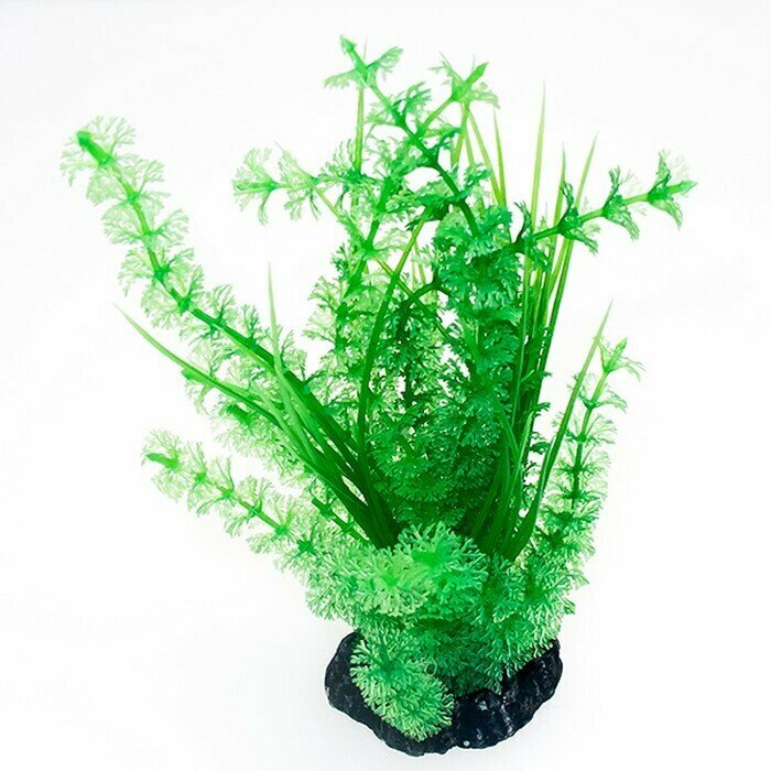 Растение для аквариума, Тритон, растение-куст, пластмасса, 200490, 20 см, 1 шт.