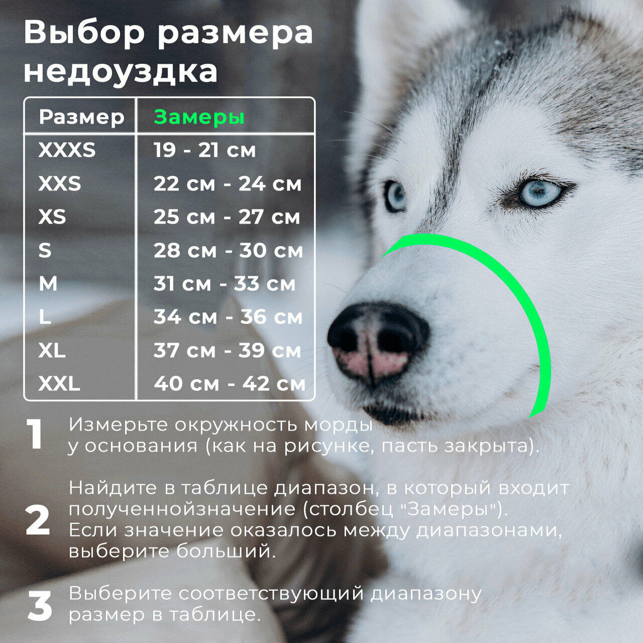 Недоуздок для собак White Wolf "Поларис" Мятный размер XXS - фотография № 3