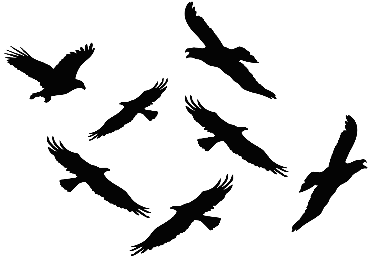 Защита шумозащитных экранов от птиц (60 x 42) см - V8 - фотография № 1
