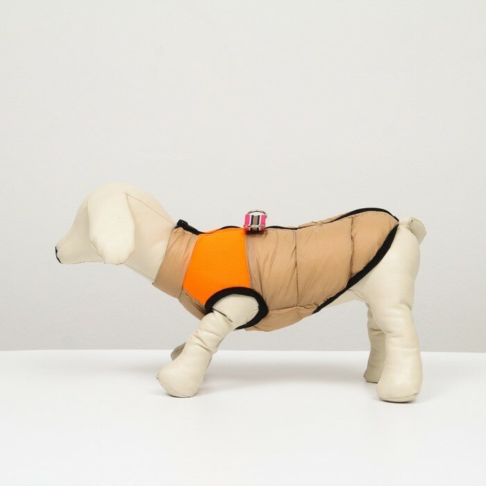 Куртка для собак на молнии, размер 12 (ДС 28 см, ОГ 38 см, ОШ 27 см), бежевая с оранжевым - фотография № 4