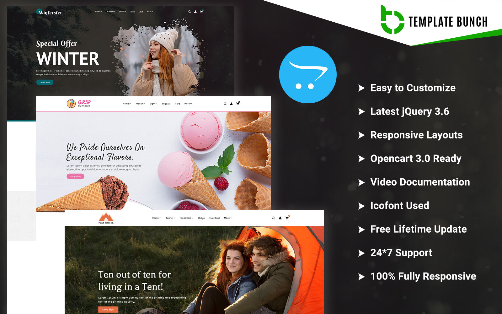 Шаблон OpenCart Amenity - Winter and Summer with Tent - Responsive OpenCart Theme for eCommerce Шаблон OpenCart