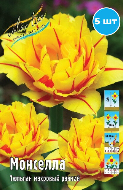 Луковицы тюльпана "Монселла" на посадку 5 шт - фотография № 1