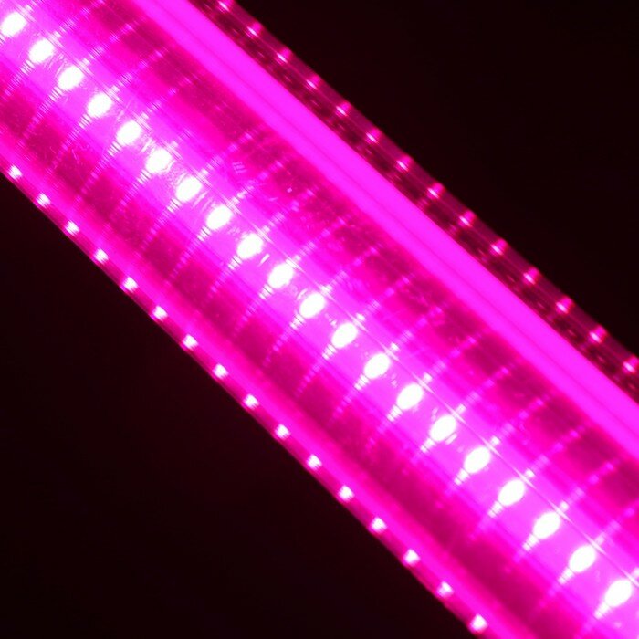 ЭРА Фитосветильник светодиодный, 36 Вт, 1170 мм, IP65, сине-красный спектр, фиолетовый, «ЭРА» - фотография № 7
