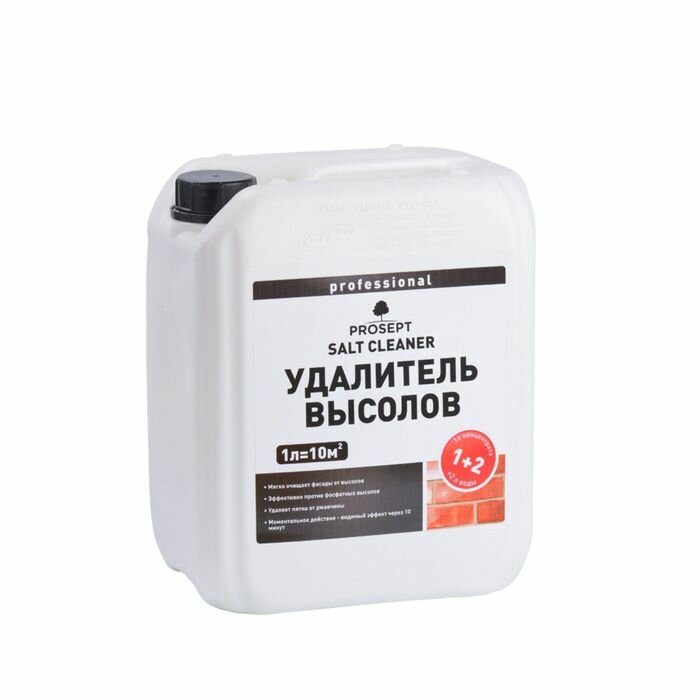 PROSEPT Удалитель высолов Prosept Salt Cleaner Концентрат 1:2, 5л