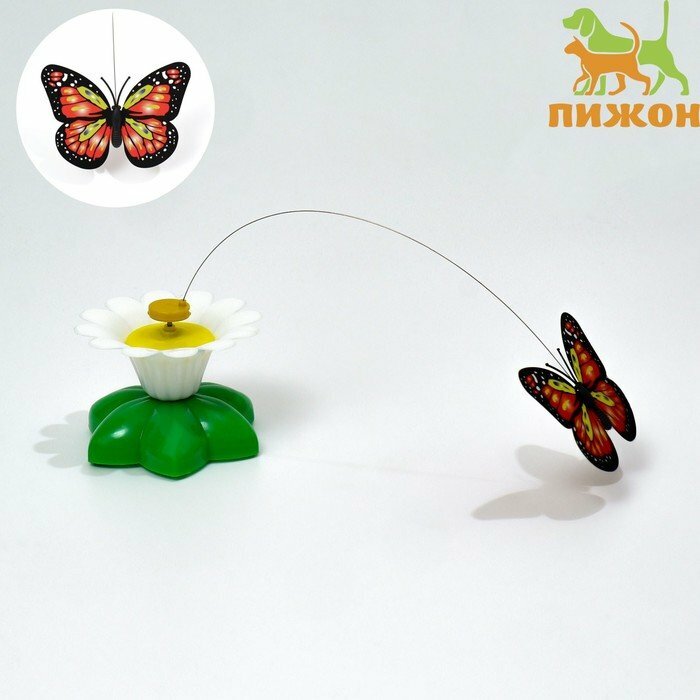 Интерактивная игрушка-дразнилка для кошек "Бабочка" (комплект из 4 шт) - фотография № 1