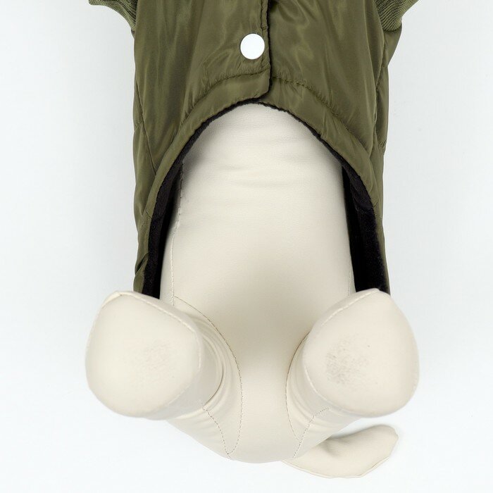 Куртка для собак "Прятки", размер XL (ДС 40, ОГ 50, ОШ 40 см), зелёная - фотография № 4
