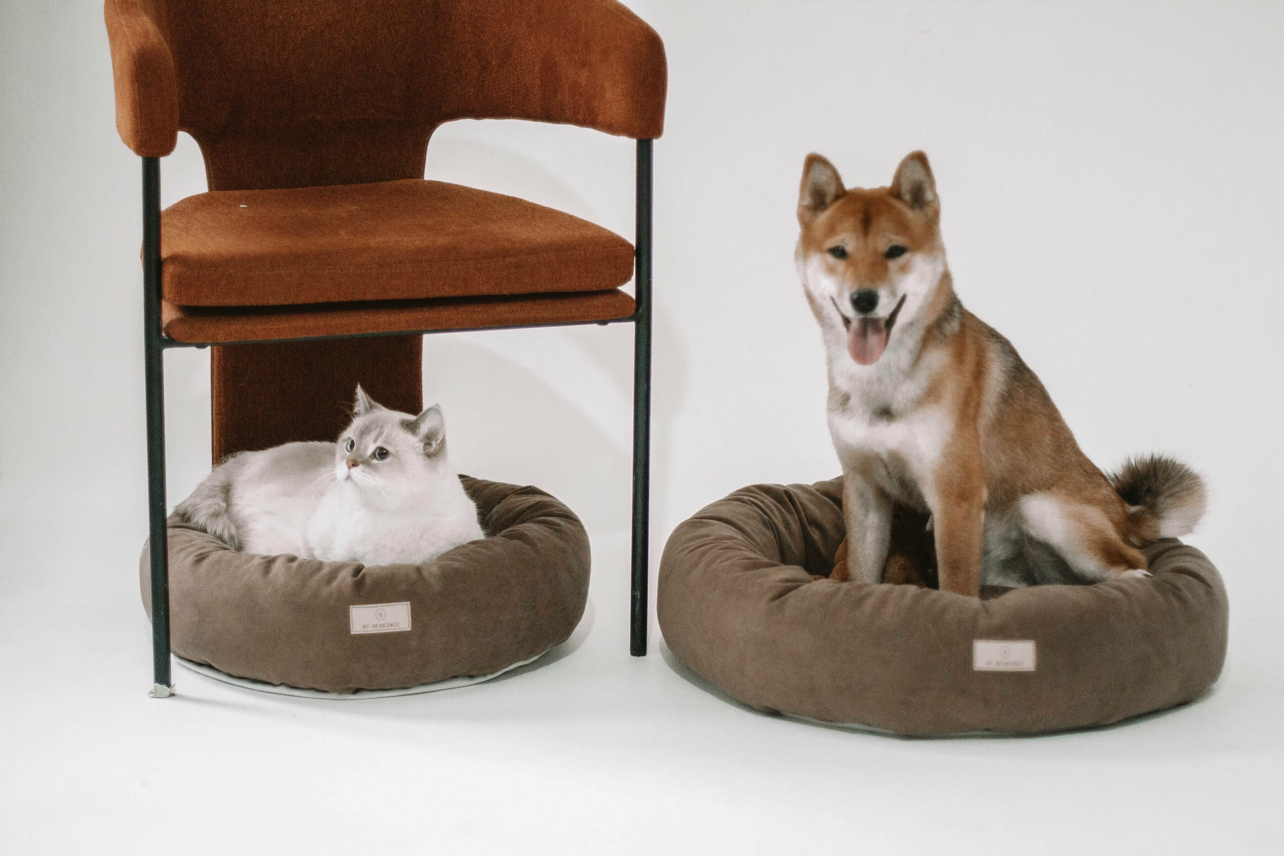 Лежанка для собак и кошек ByBenedict круглая бублик, размер S 50х50х18, место внутри - 30х30 - фотография № 3