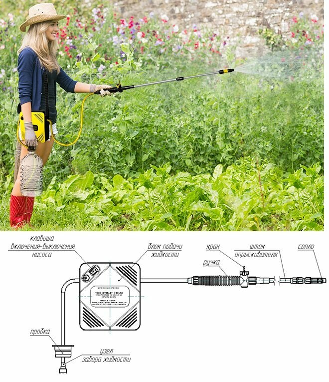Опрыскиватель ручной аккумуляторный Эко Туман ОГЭ 310 дачный электрический - фотография № 3