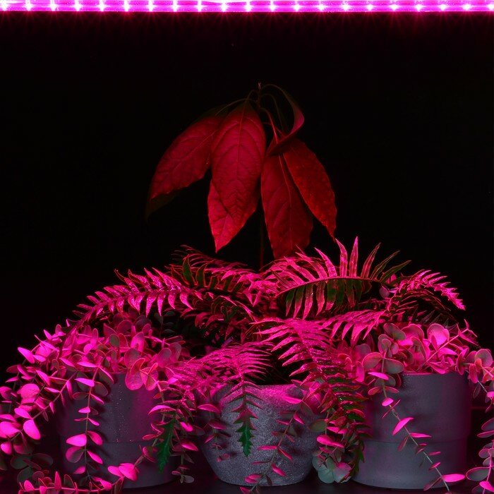 INhome Фитосветильник светодиодный, 20 Вт, 1170 мм, IP20, полный спектр, фиолетовый, СПБ-Т5-ФИТО, IN HOME - фотография № 9