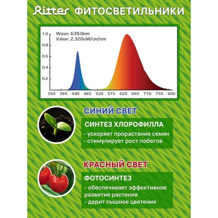 Фитосветильники Ritter Фитосветильник светодиодный Ritter, T5, 10Вт, 572мм, IP20, на присосках, красно-синий спектр - фотография № 5