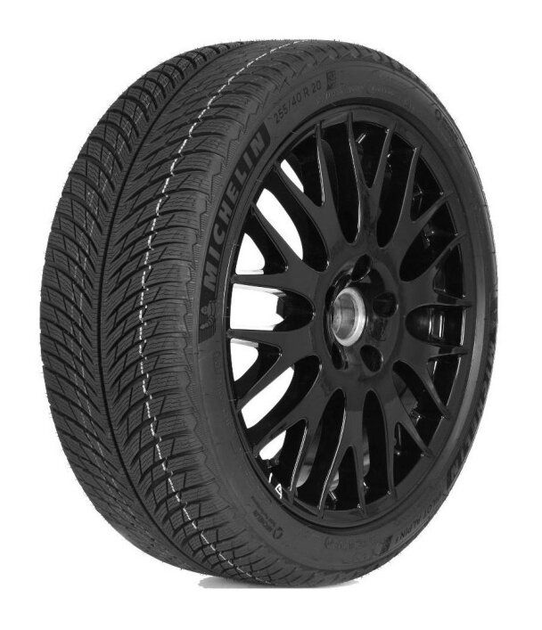 Автомобильные шины Michelin Pilot Alpin 5 305/35 R21 109V