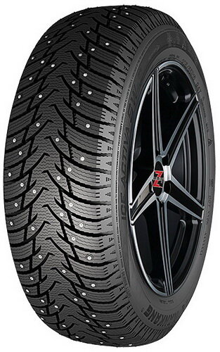 Шина Nankang SW-8 Ice Activa 195/55R16 91T шип