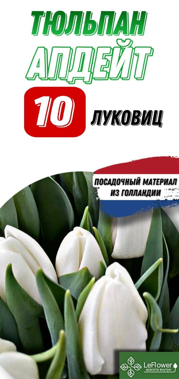 Тюльпан Луковица Апдейт 10шт