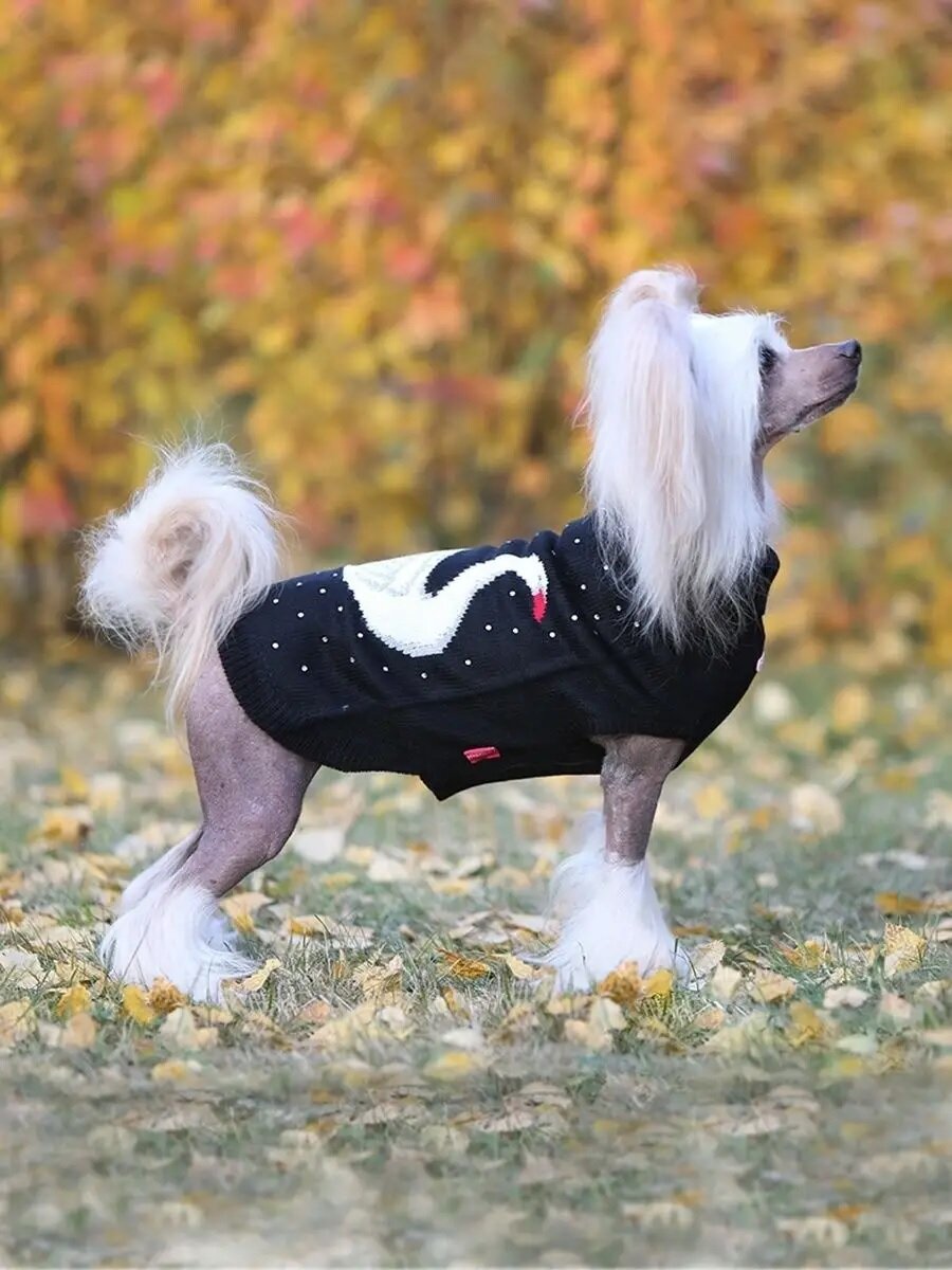 Тёплый вязаный свитер для собак ForMyDogs (22см ) - фотография № 4