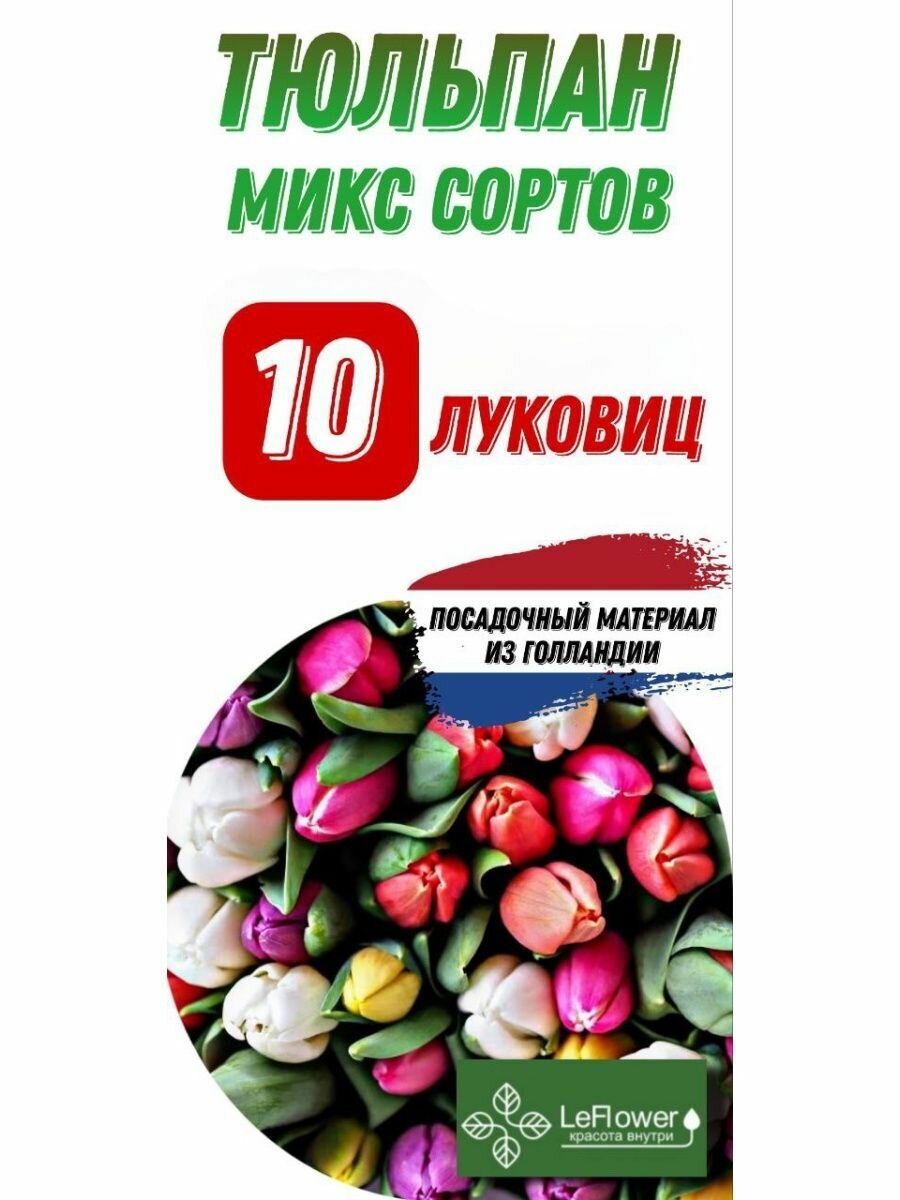 Тюльпан Луковица Микс сортов 10шт (LeFlower)