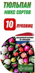 Тюльпан Луковица, Микс сортов, 10шт