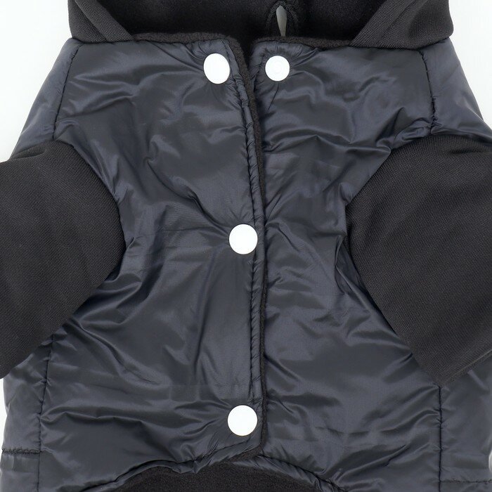 Куртка для собак "Спорт" с капюшоном, размер M (ДС 30, ОГ 40, ОШ 30 см), чёрная - фотография № 12