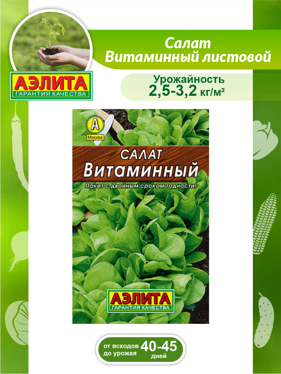 Семена Салат Витаминный листовой 05 гр.