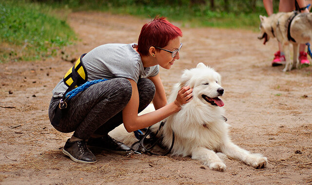 Сертификат в подарочной упаковке Дог-трекинг прогулка с собакой по лесу 1 чел. (1 час) (Московская область)