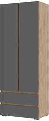 Хелен ШК 01 Шкаф 2х створчатый(0,800х2,100х0,460) Фасад серый графит / Корпус ДУБ крафт золото