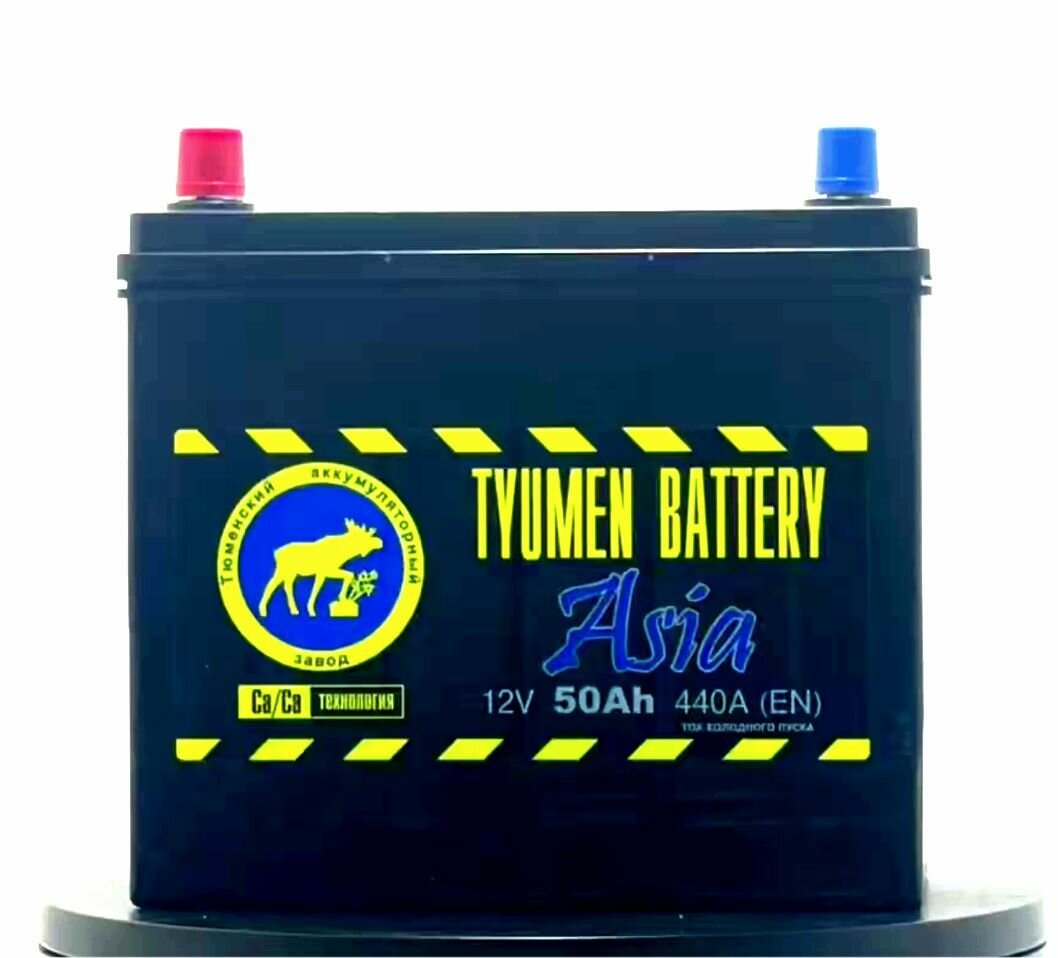 Аккумулятор Asia 50 А/Ч "Tyumen Battery" 410a (Прямая Полярность) Тонк./Кл. (236*128*223) TYUMEN BATTERY арт. 6CT50L1ASIA