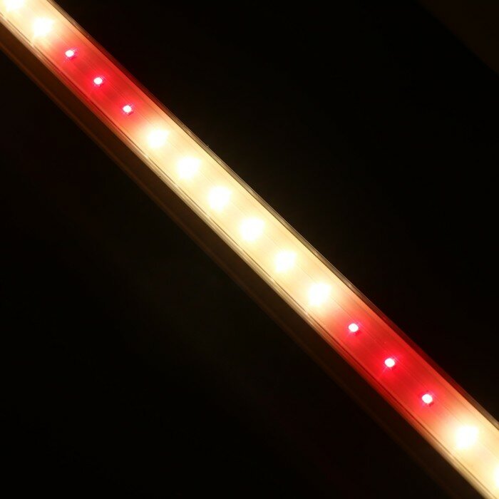 Фитосветильники ЭРА Фитосветильник светодиодный, 9 Вт, 572 мм, IP20, полный спектр, бело-красный, «ЭРА» - фотография № 8