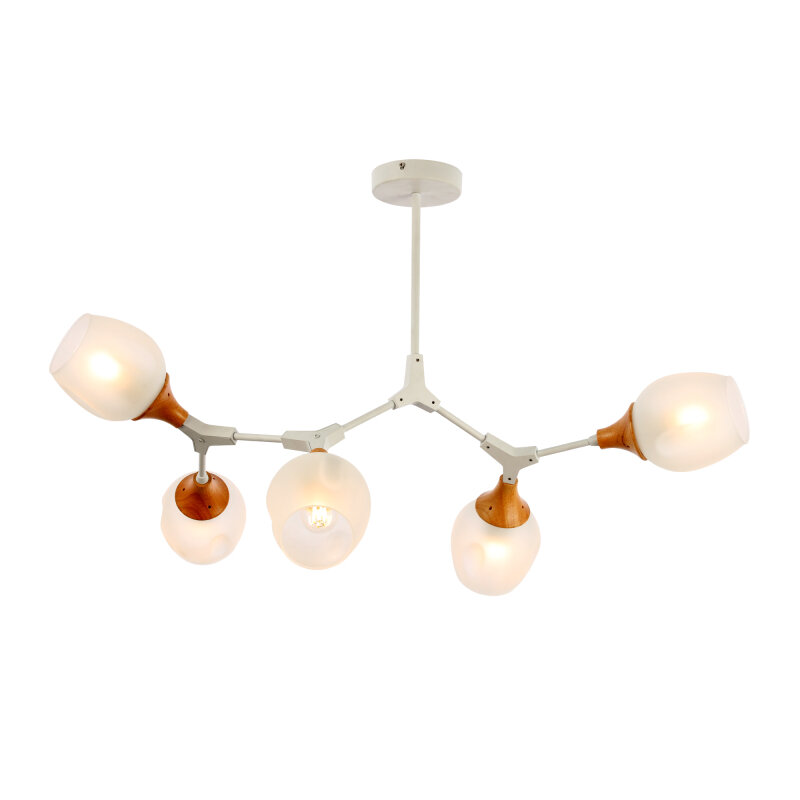 Люстра Evoluce CIOTOLLA SLE113502-05 - фото №1