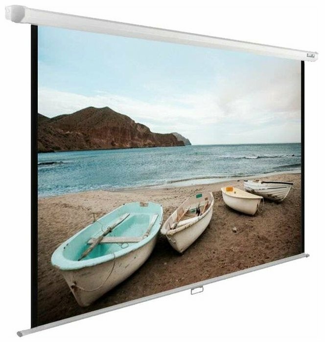 Рулонный экран Cactus WallExpert CS-PSWE-220x138-WT, белый, матовый