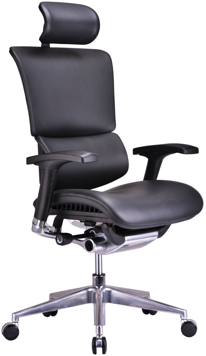 Эргономичное офисное кресло Falto Expert Sail SAL-01 (черная кожа, черный каркас)