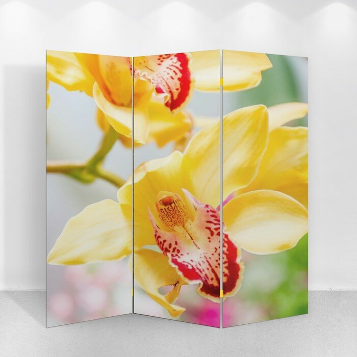 Ширма "Орхидеи", 150 х 160 см - фотография № 2