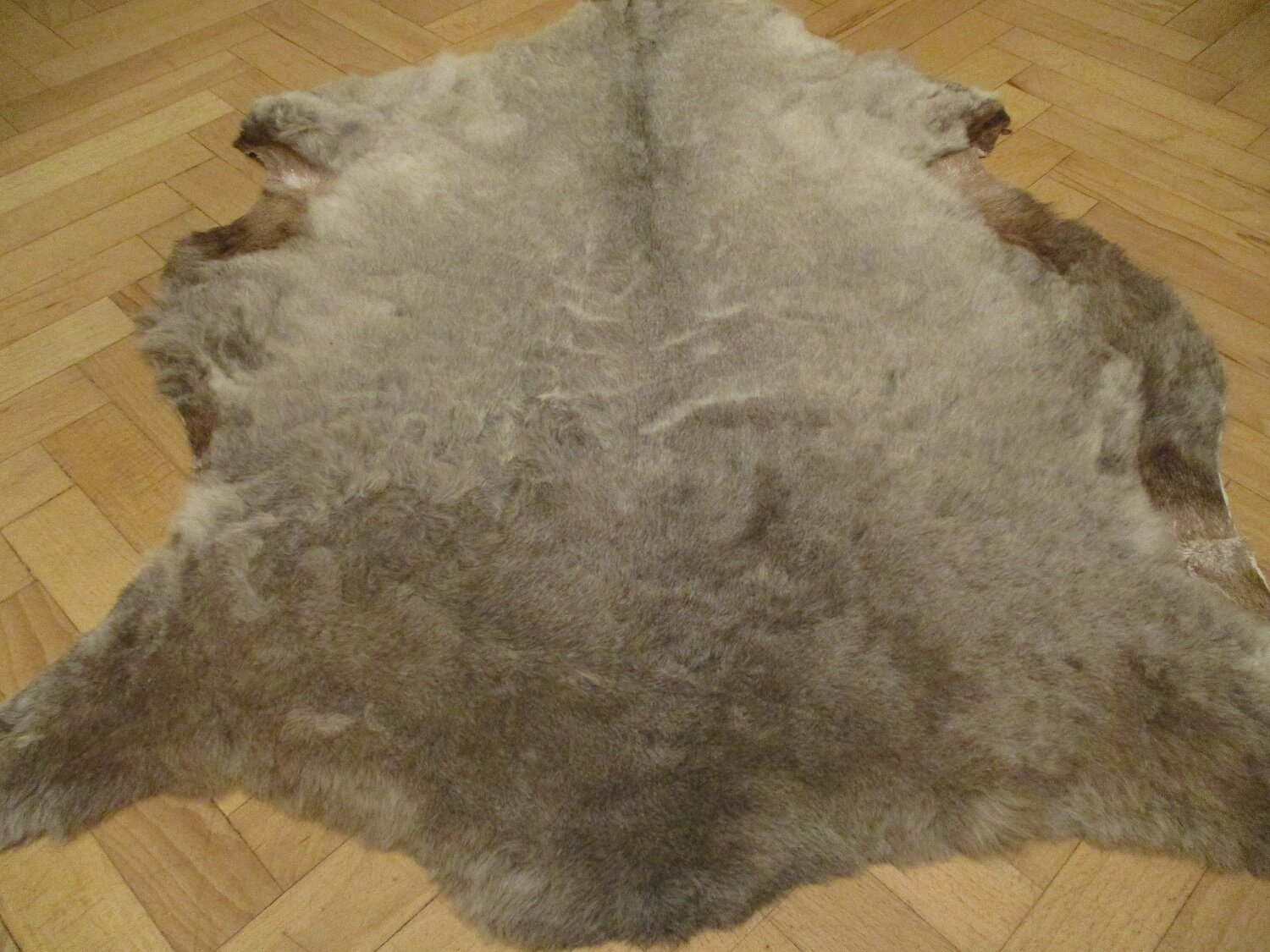 Натуральная овечья шкура, размер 95х83см - фотография № 2