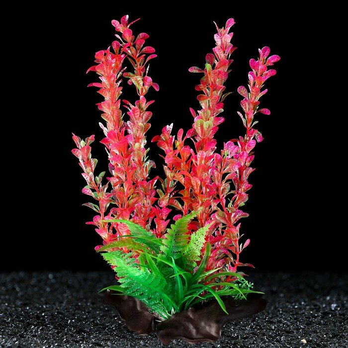 Растение искусственное аквариумное на платформе в виде коряги, 30 см, розово-зелёное - фотография № 1