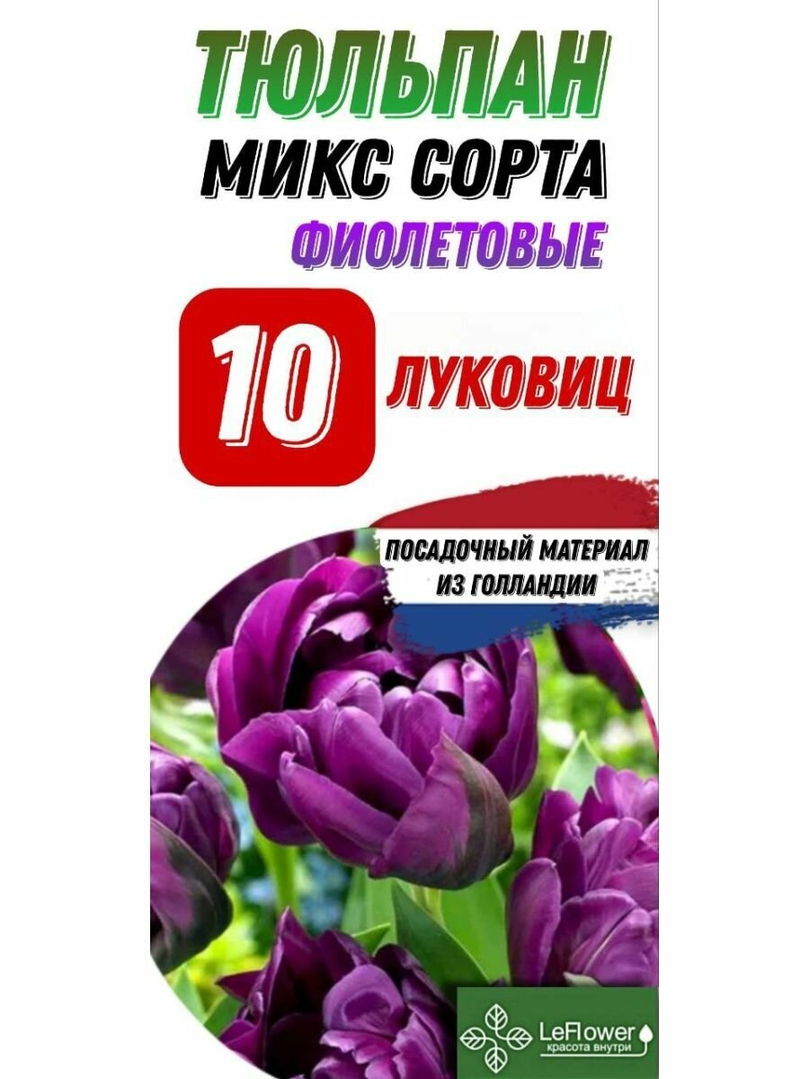 Тюльпан Луковица, Микс сиреневых сортов, 10шт (LeFlower) - фотография № 1