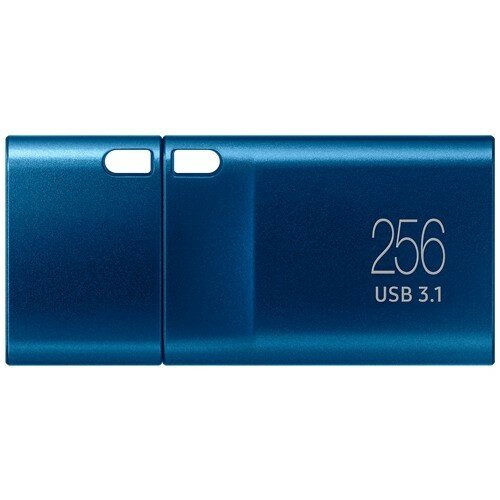 Флеш-накопитель Samsung USB Type-C 256Gb Blue (Синий) MUF-256DA/APC